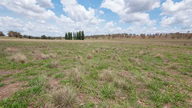 Second view of Homely rural property listing, 13520 Thunderbolts Way, Walcha NSW 2354