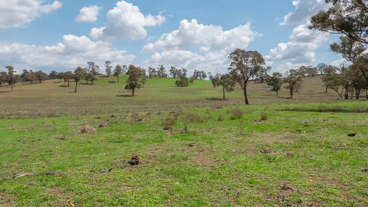 Third view of Homely rural property listing, 13520 Thunderbolts Way, Walcha NSW 2354