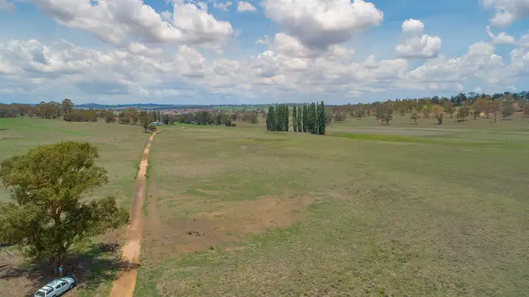 Sixth view of Homely rural property listing, 13520 Thunderbolts Way, Walcha NSW 2354