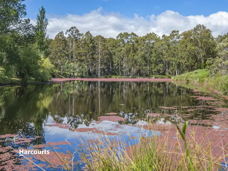 Fourth view of Homely house listing, 40 Dillons Hill Road, Glaziers Bay TAS 7109