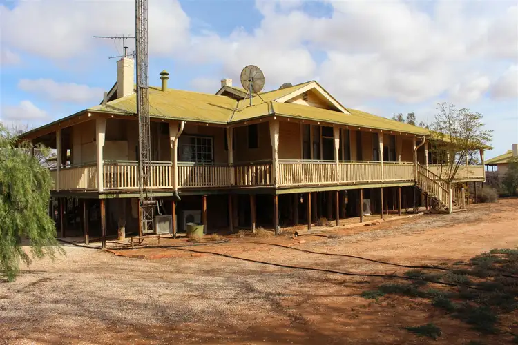 Fifth view of Homely rural property listing, . "Nulla Nulla" & "Noola" Stations via Wentworth NSW, Rufus River NSW 2648