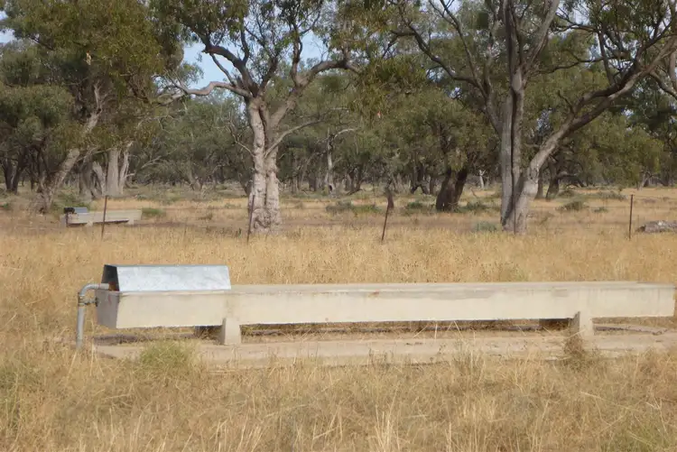 Fifth view of Homely rural property listing, 'CORELLA' Old Warren Road, Nyngan NSW 2825