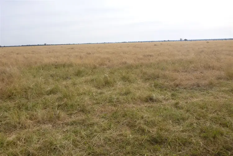 Sixth view of Homely rural property listing, 'CORELLA' Old Warren Road, Nyngan NSW 2825