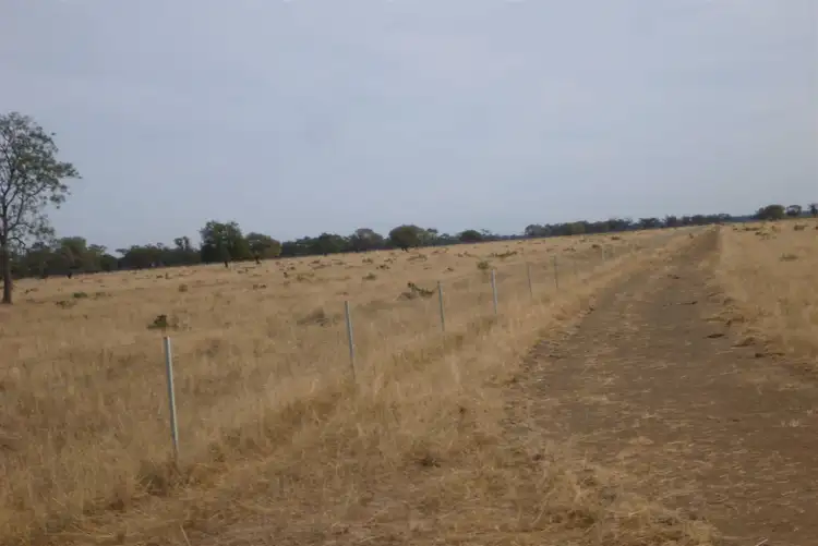 Seventh view of Homely rural property listing, 'CORELLA' Old Warren Road, Nyngan NSW 2825