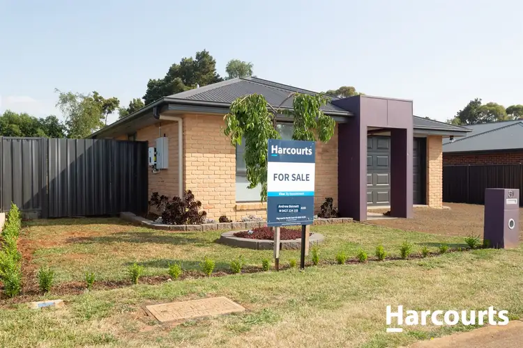 Seventh view of Homely house listing, 31 Beattie St, Scottsdale TAS 7260