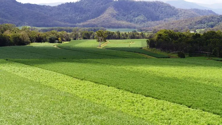 Sixth view of Homely rural property listing, Address available on request