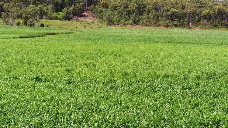 Seventh view of Homely rural property listing, Address available on request