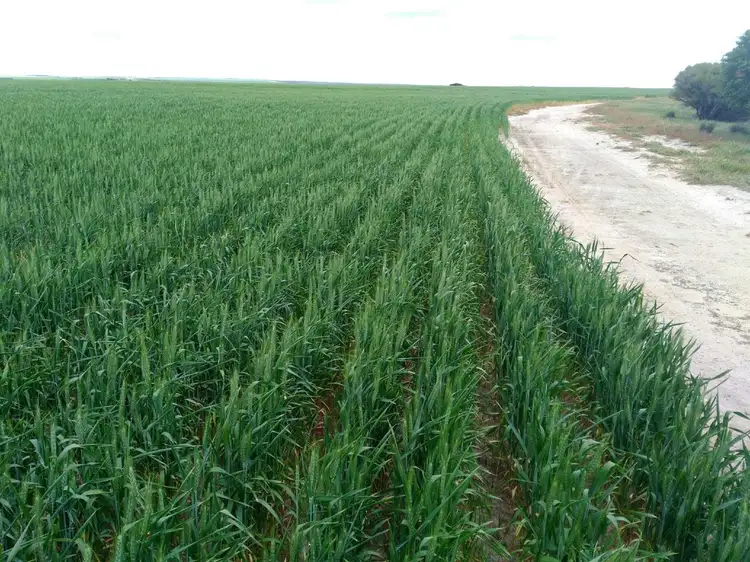 Sixth view of Homely rural property listing, Address available on request