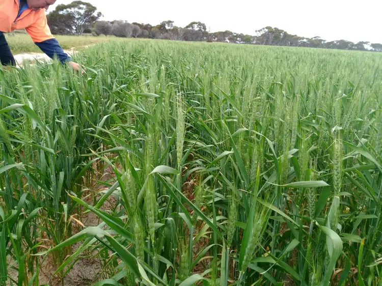 Seventh view of Homely rural property listing, Address available on request