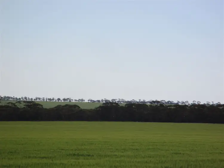 Main view of Homely rural property listing, Address available on request