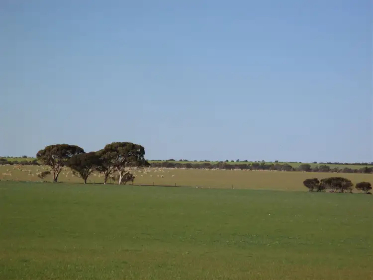 Third view of Homely rural property listing, Address available on request