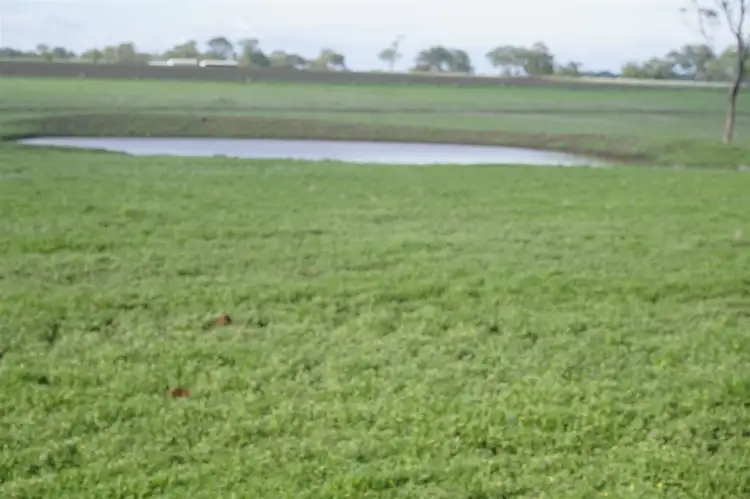 Second view of Homely rural property listing, 511 Pauli Road, Back Plains QLD 4361