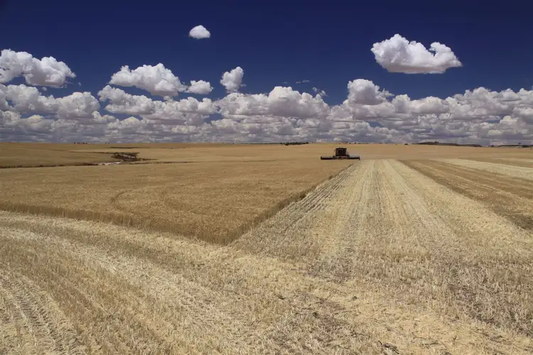 979 KUNUNOPPIN - MUKINBUDIN RD, Kununoppin WA 6489