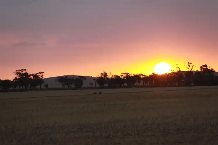 Sixth view of Homely rural property listing, 979 KUNUNOPPIN - MUKINBUDIN RD, Kununoppin WA 6489