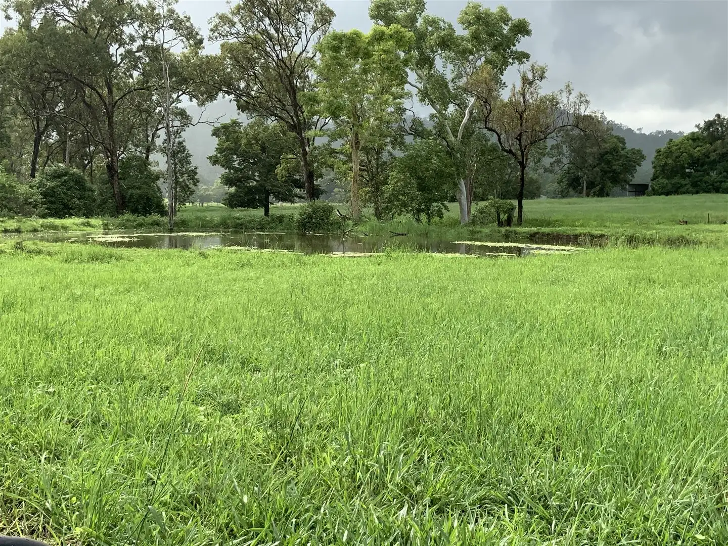 Main view of Homely rural property listing, Address available on request