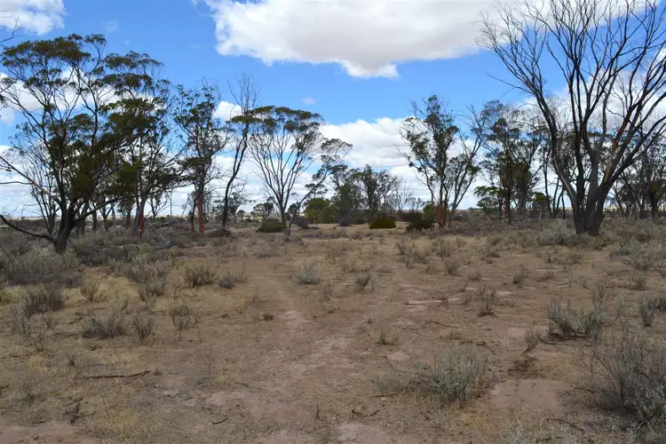 Second view of Homely rural property listing, . Woolundra South Block, Kellerberrin WA 6410