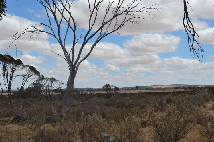 Third view of Homely rural property listing, . Woolundra South Block, Kellerberrin WA 6410
