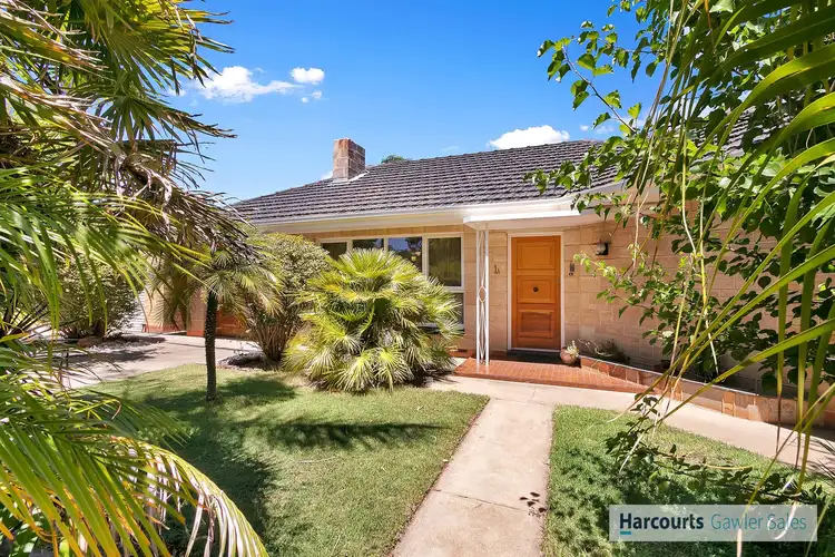 15 Tanunda Road, Nuriootpa SA 5355