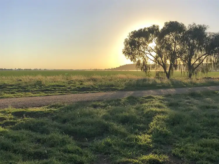Main view of Homely rural property listing, . 'McEvers Park', 330 Bellings Rd, Goolhi via, Gunnedah NSW 2380