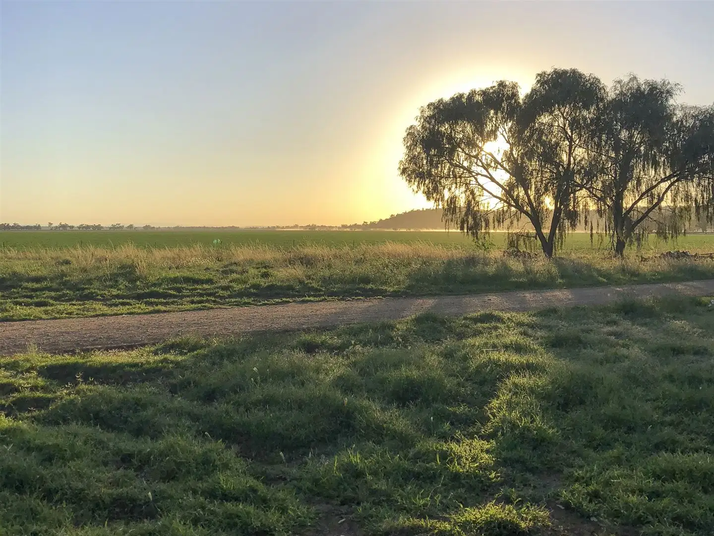 Main view of Homely rural property listing, . 'McEvers Park', 330 Bellings Rd, Goolhi via, Gunnedah NSW 2380