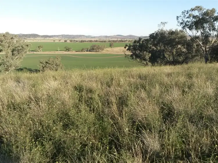Second view of Homely rural property listing, . 'McEvers Park', 330 Bellings Rd, Goolhi via, Gunnedah NSW 2380