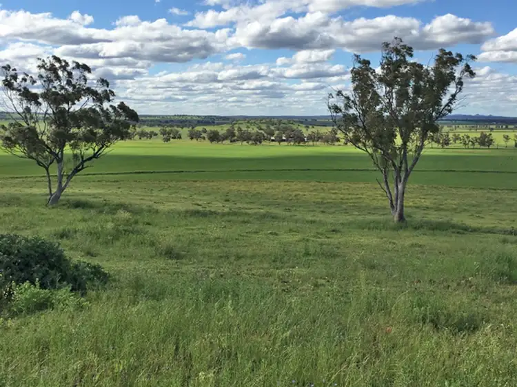 Third view of Homely rural property listing, . 'McEvers Park', 330 Bellings Rd, Goolhi via, Gunnedah NSW 2380