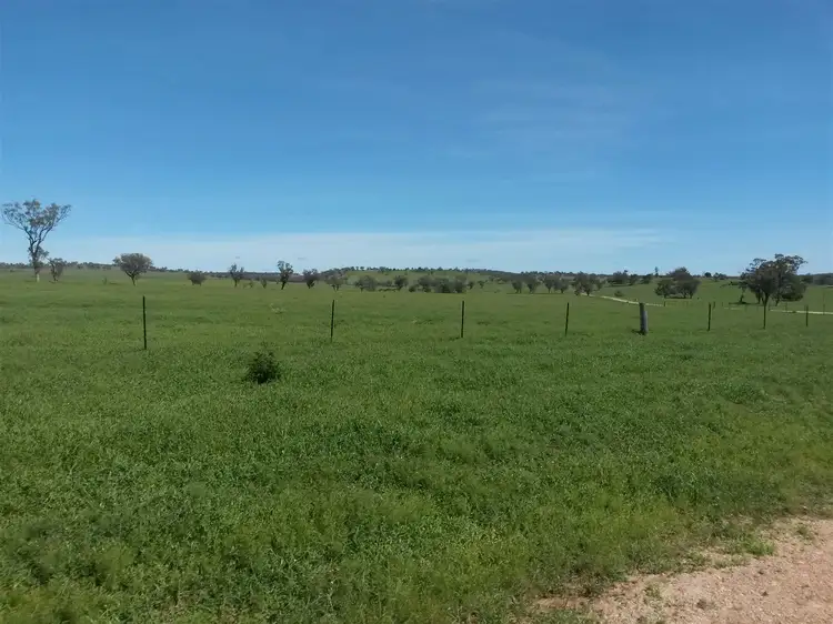 Fourth view of Homely rural property listing, . 'McEvers Park', 330 Bellings Rd, Goolhi via, Gunnedah NSW 2380