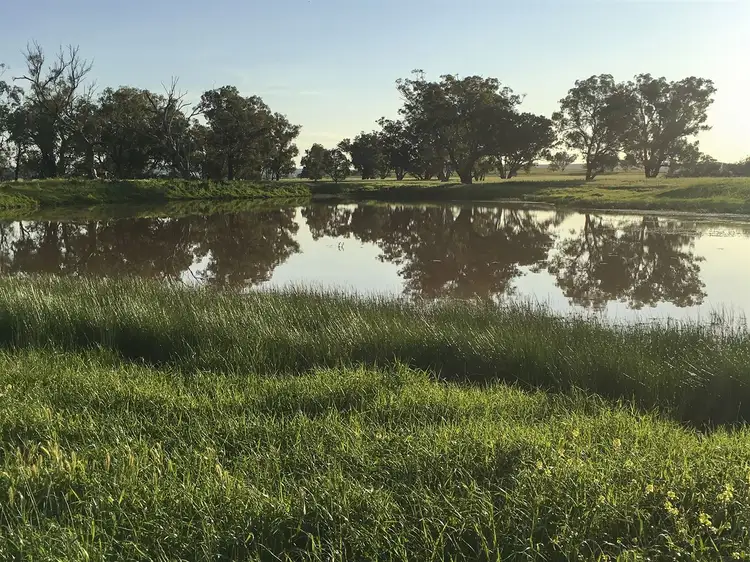 Sixth view of Homely rural property listing, . 'McEvers Park', 330 Bellings Rd, Goolhi via, Gunnedah NSW 2380