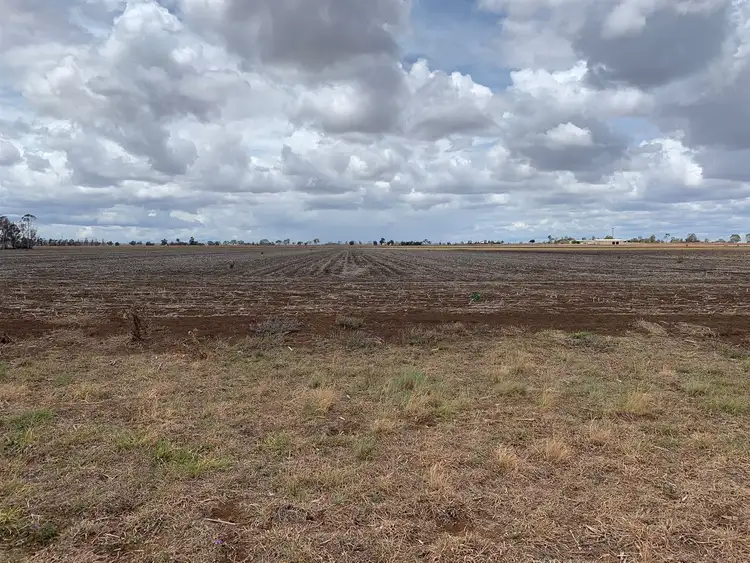 Seventh view of Homely rural property listing, Lots 277 +298 Wiedman Road, Clifton QLD 4361