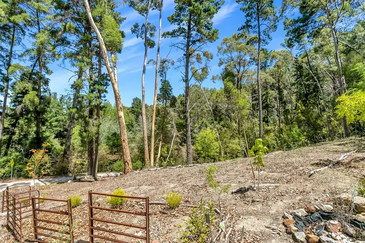 14 Manoah Drive, Upper Sturt SA 5156