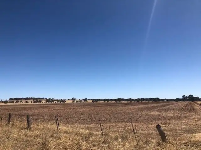 Fifth view of Homely rural property listing, . Windy Hill and Camacs Rd, Riverton SA 5412