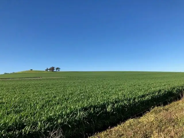 Seventh view of Homely rural property listing, . Windy Hill and Camacs Rd, Riverton SA 5412