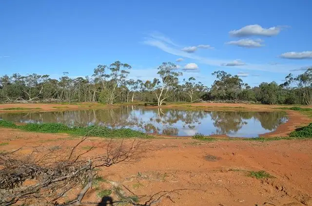 * Bellaroon, Coolabah NSW 2831