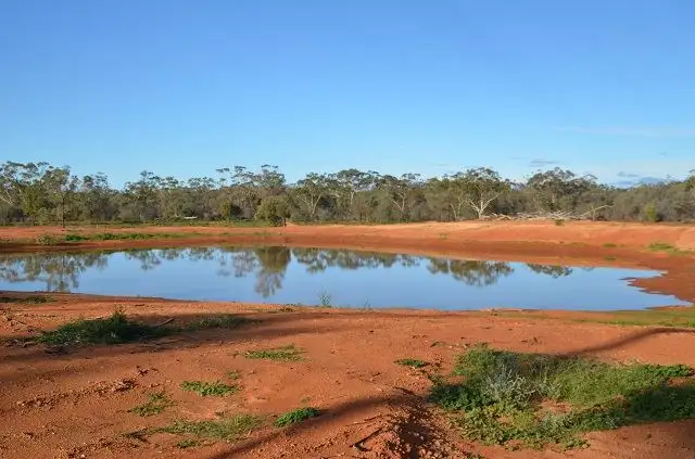 Seventh view of Homely rural property listing, * Bellaroon, Coolabah NSW 2831