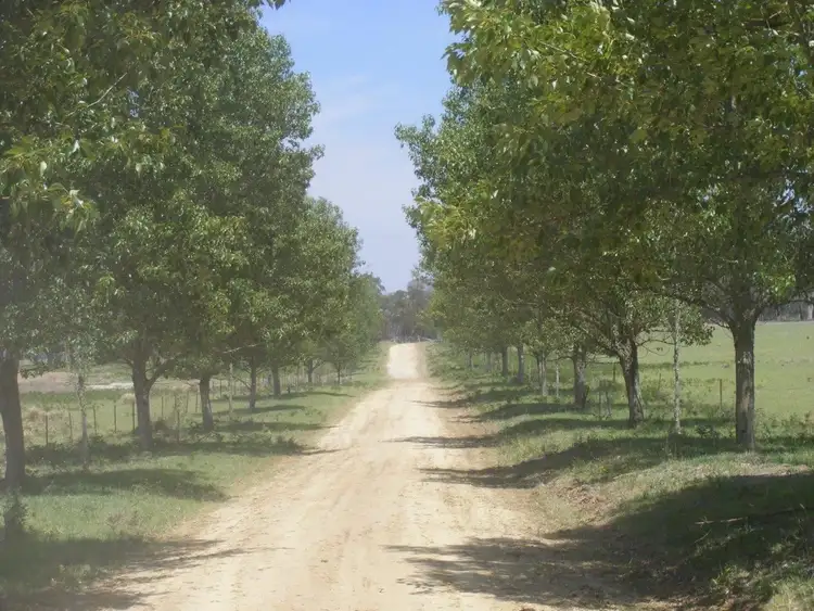 Second view of Homely rural property listing, Glen Vale/304 Coopers Road, Red Range NSW 2370