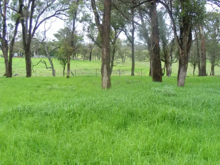 Third view of Homely rural property listing, Glen Vale/304 Coopers Road, Red Range NSW 2370