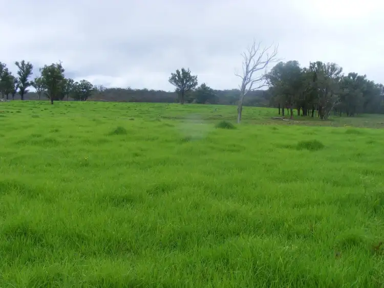 Fifth view of Homely rural property listing, Glen Vale/304 Coopers Road, Red Range NSW 2370