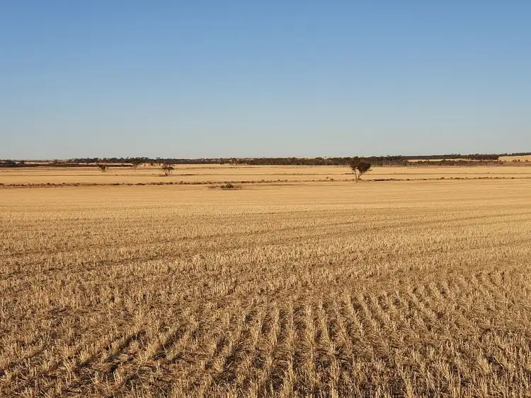 Sixth view of Homely rural property listing, Address available on request