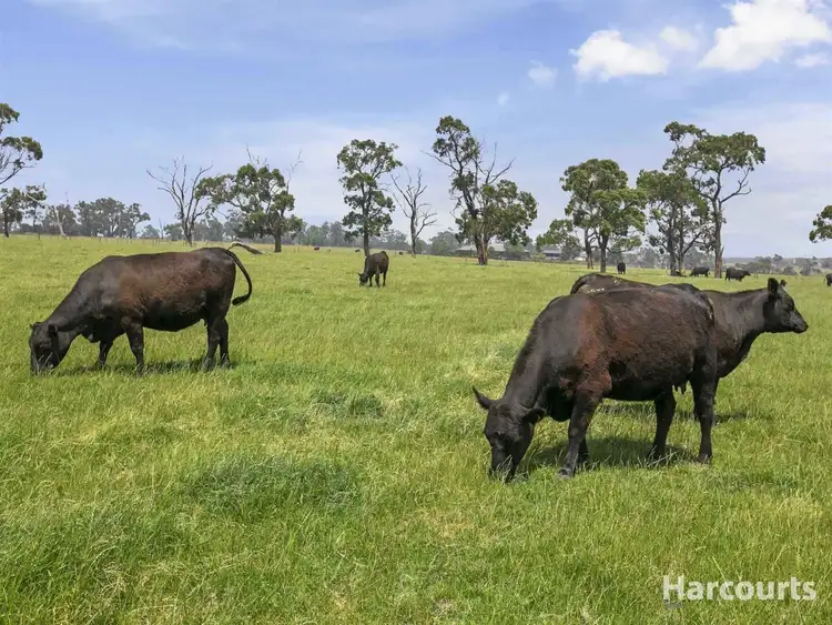 Sixth view of Homely rural property listing, 73 Millers Road, Trafalgar East VIC 3824