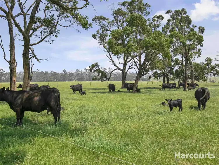 Seventh view of Homely rural property listing, 73 Millers Road, Trafalgar East VIC 3824
