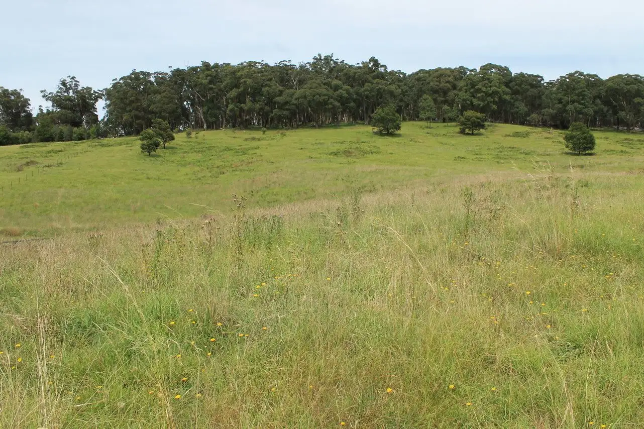 Main view of Homely rural property listing, 12 Bluebell Place, Braidwood NSW 2622
