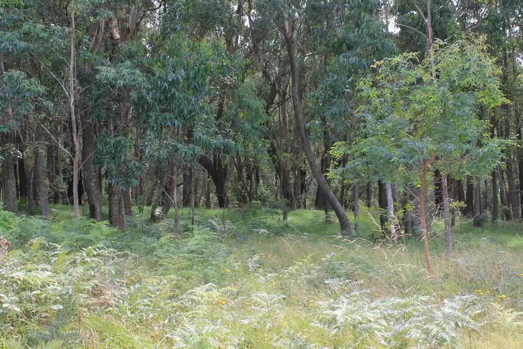 Sixth view of Homely rural property listing, 12 Bluebell Place, Braidwood NSW 2622