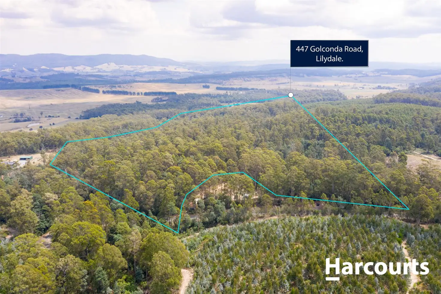 Main view of Homely rural property listing, 441 Golconda Road, Lilydale TAS 7268