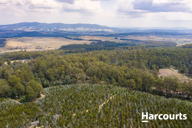 Second view of Homely rural property listing, 441 Golconda Road, Lilydale TAS 7268