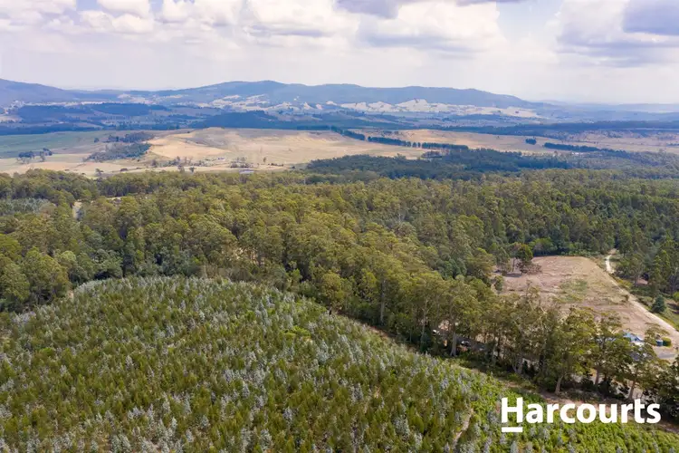 Third view of Homely rural property listing, 441 Golconda Road, Lilydale TAS 7268