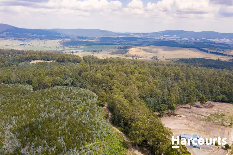 Fourth view of Homely rural property listing, 441 Golconda Road, Lilydale TAS 7268