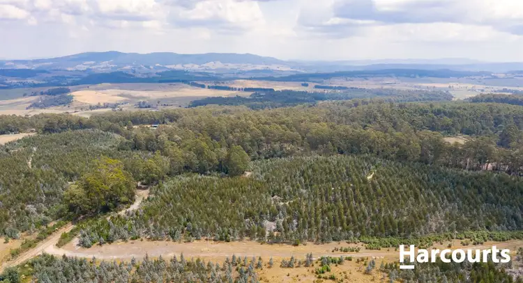 Sixth view of Homely rural property listing, 441 Golconda Road, Lilydale TAS 7268