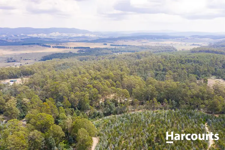 Seventh view of Homely rural property listing, 441 Golconda Road, Lilydale TAS 7268
