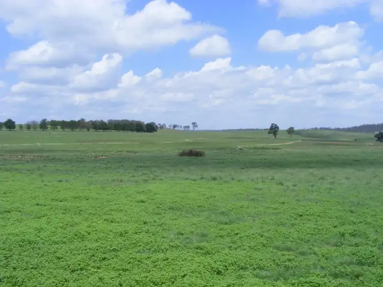 Main view of Homely rural property listing, 541 New England Highway, Glen Innes NSW 2370