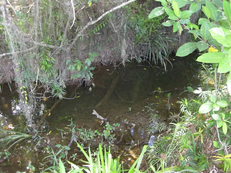 Second view of Homely rural property listing, Address available on request